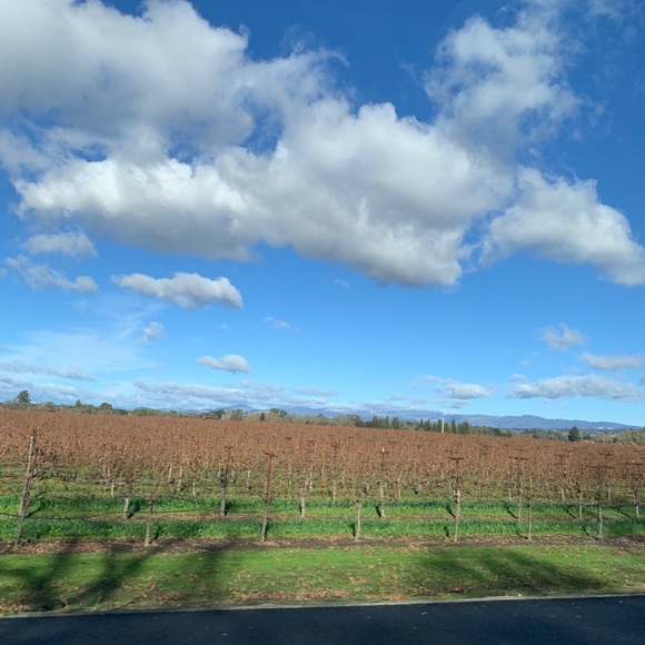 Welcome ❤️ Bookmark My Closet - Picture 16 of 16